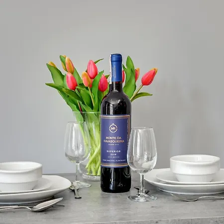 Park B Piamola, Bezplatne Solarium Stegna (Pomerania)